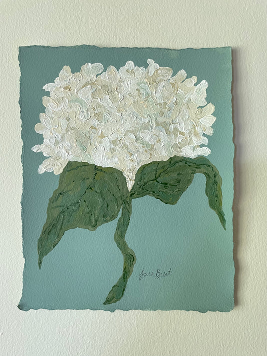 8x10 White Hydrangea on Blue paper no. 2