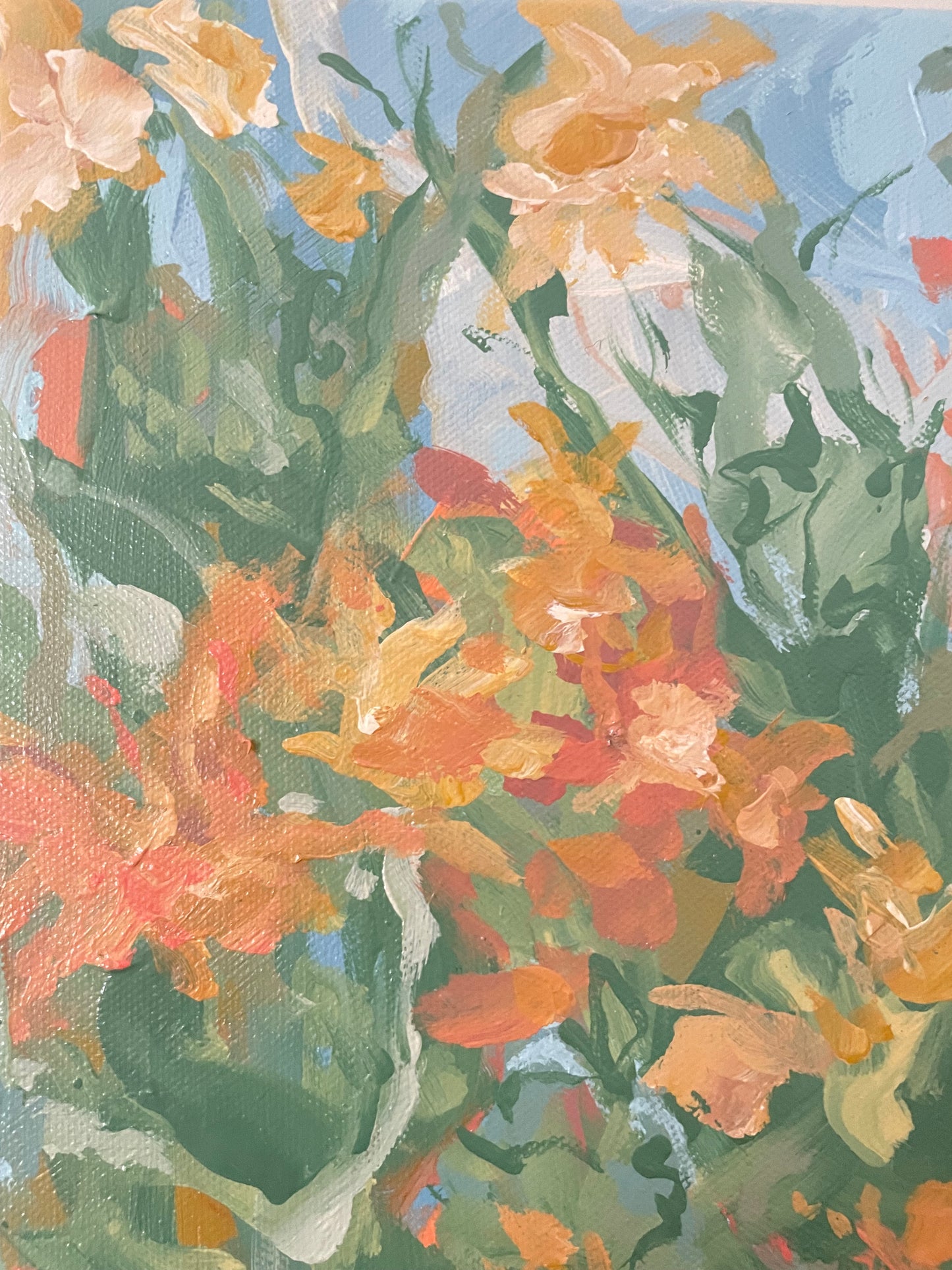 Zinnias in Bloom