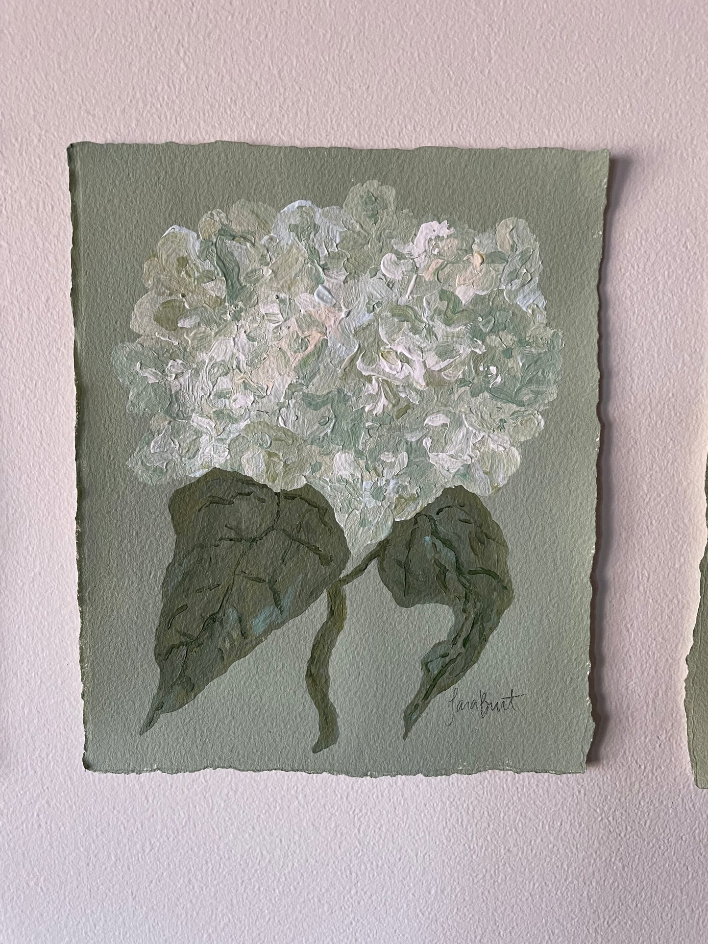 White Blue Green Hydrangea on Green no 2