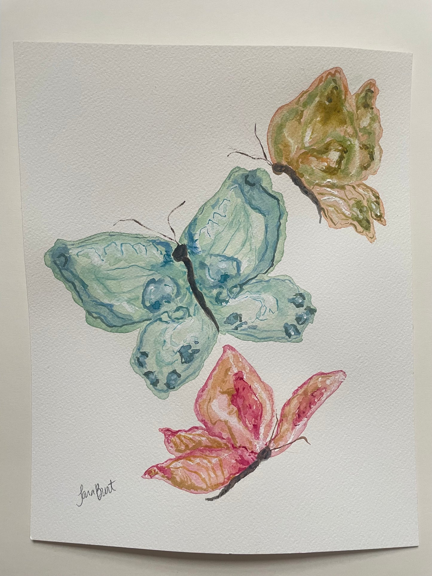 Trio of Papillon