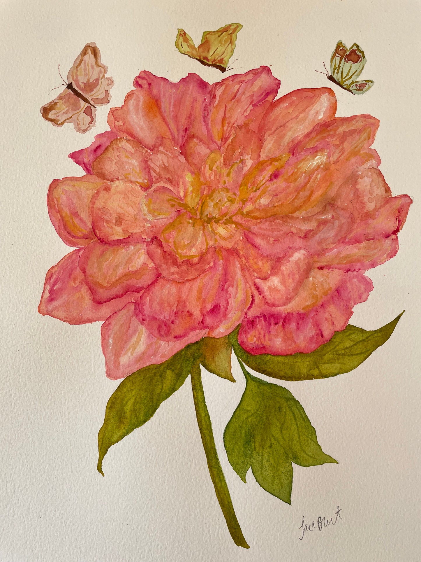 Pink Coral Peony Stem Botanical Watercolor Painting