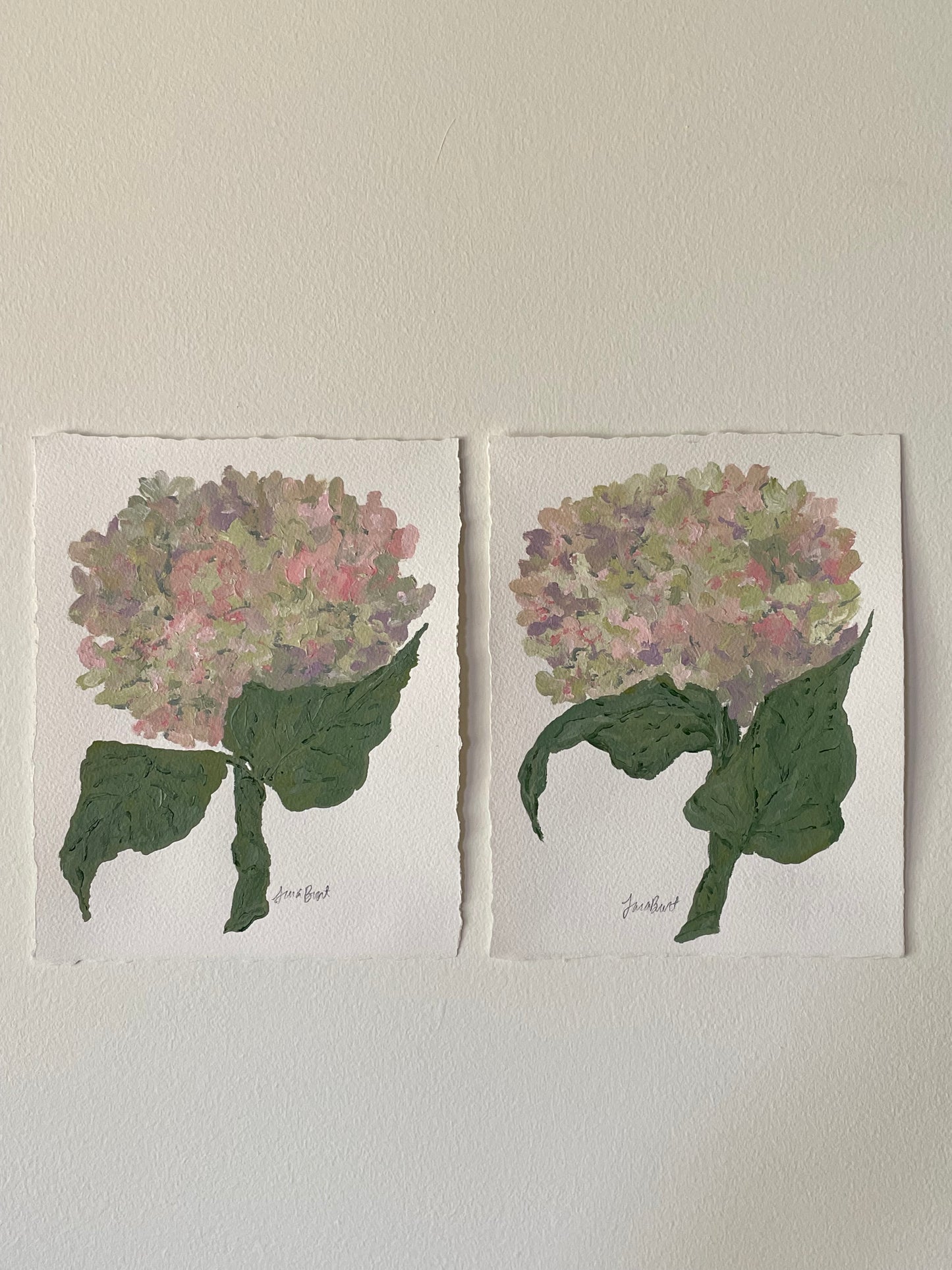 8x10 pink & purple hydrangea on plain paper no. 2