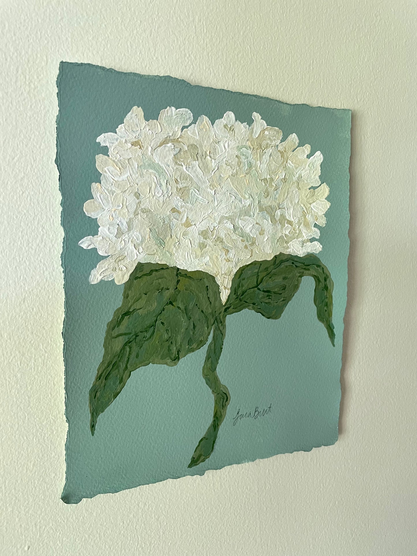8x10 White Hydrangea on Blue paper no. 2