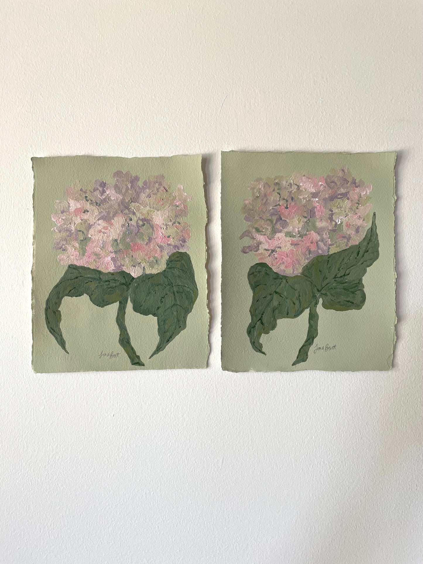 8x10 Pink & Purple Hydrangea on Green Paper no. 1