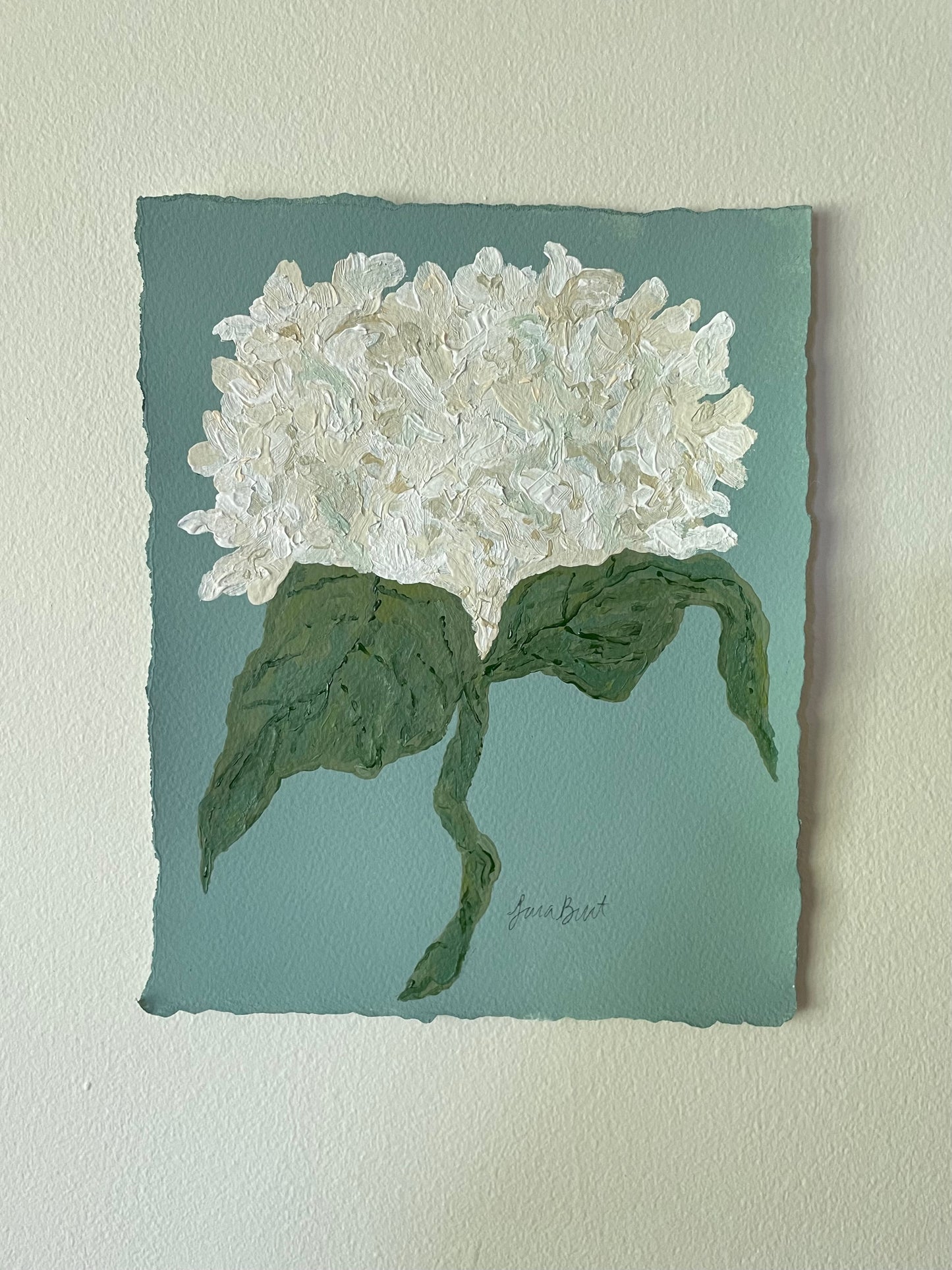 8x10 White Hydrangea on Blue paper no. 2