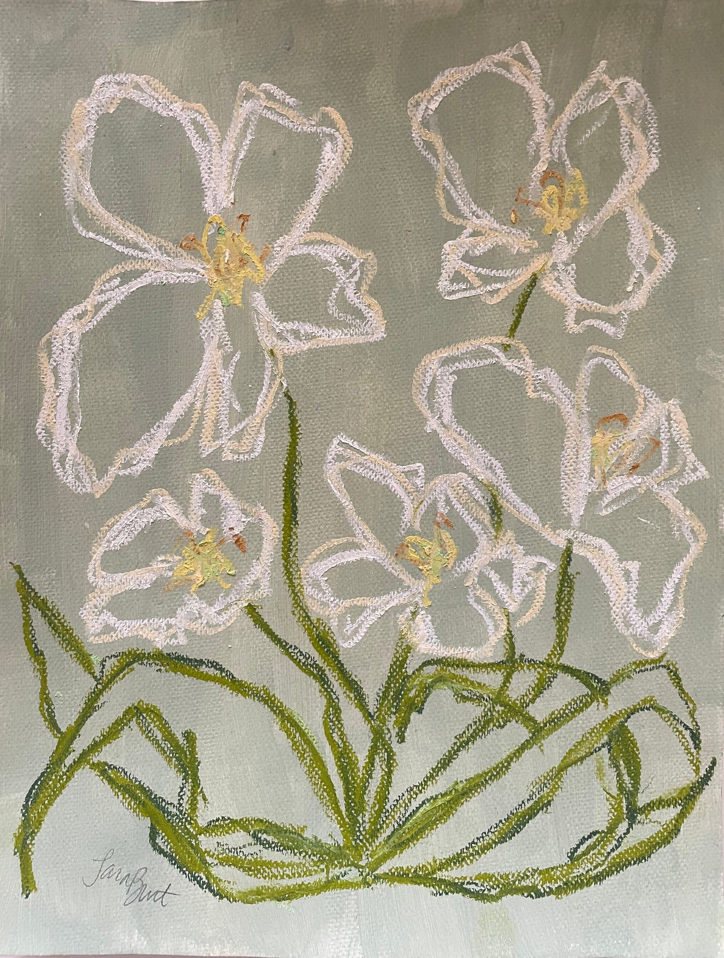 Blooming Softly no 1