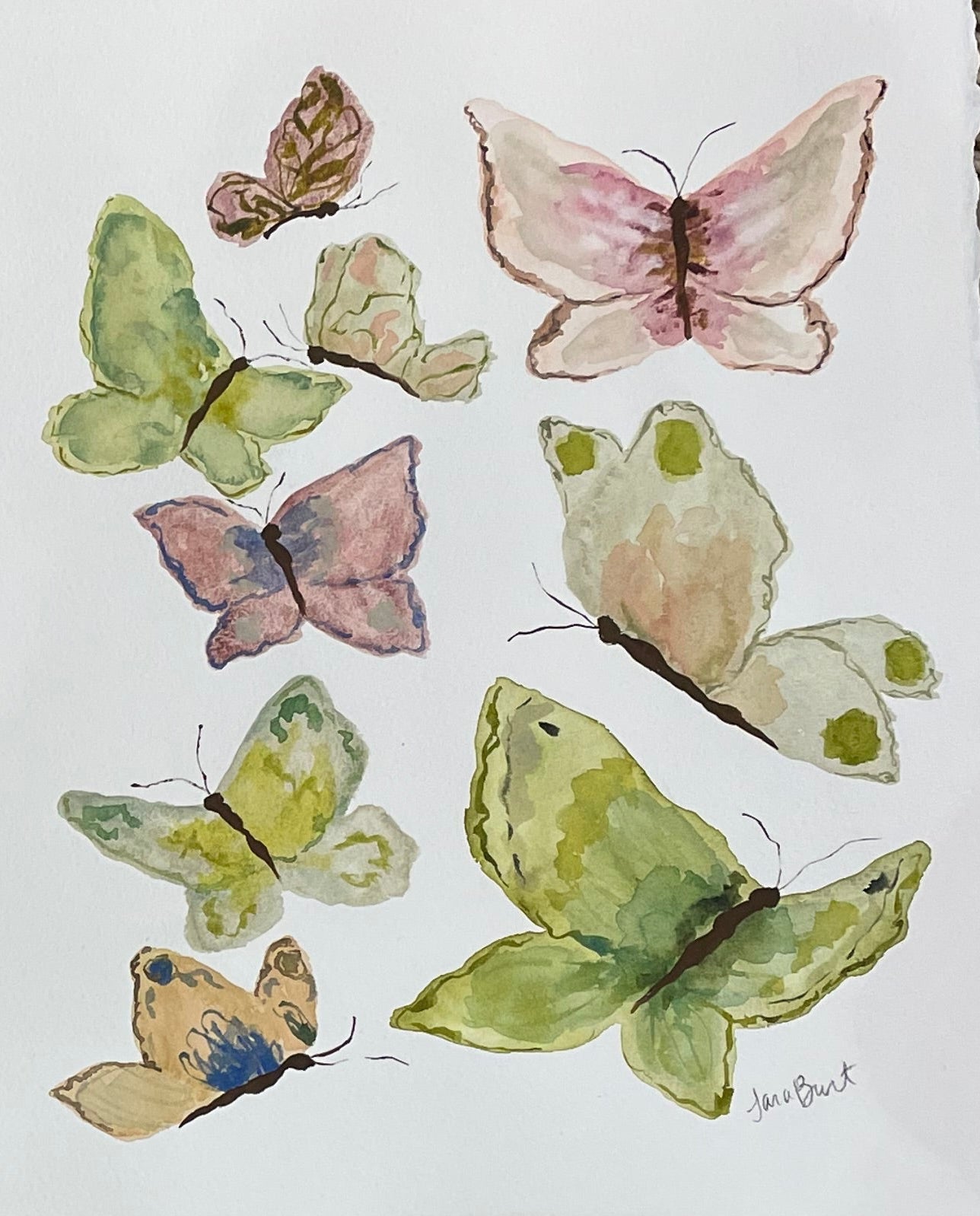 Soft Flutter no. 1