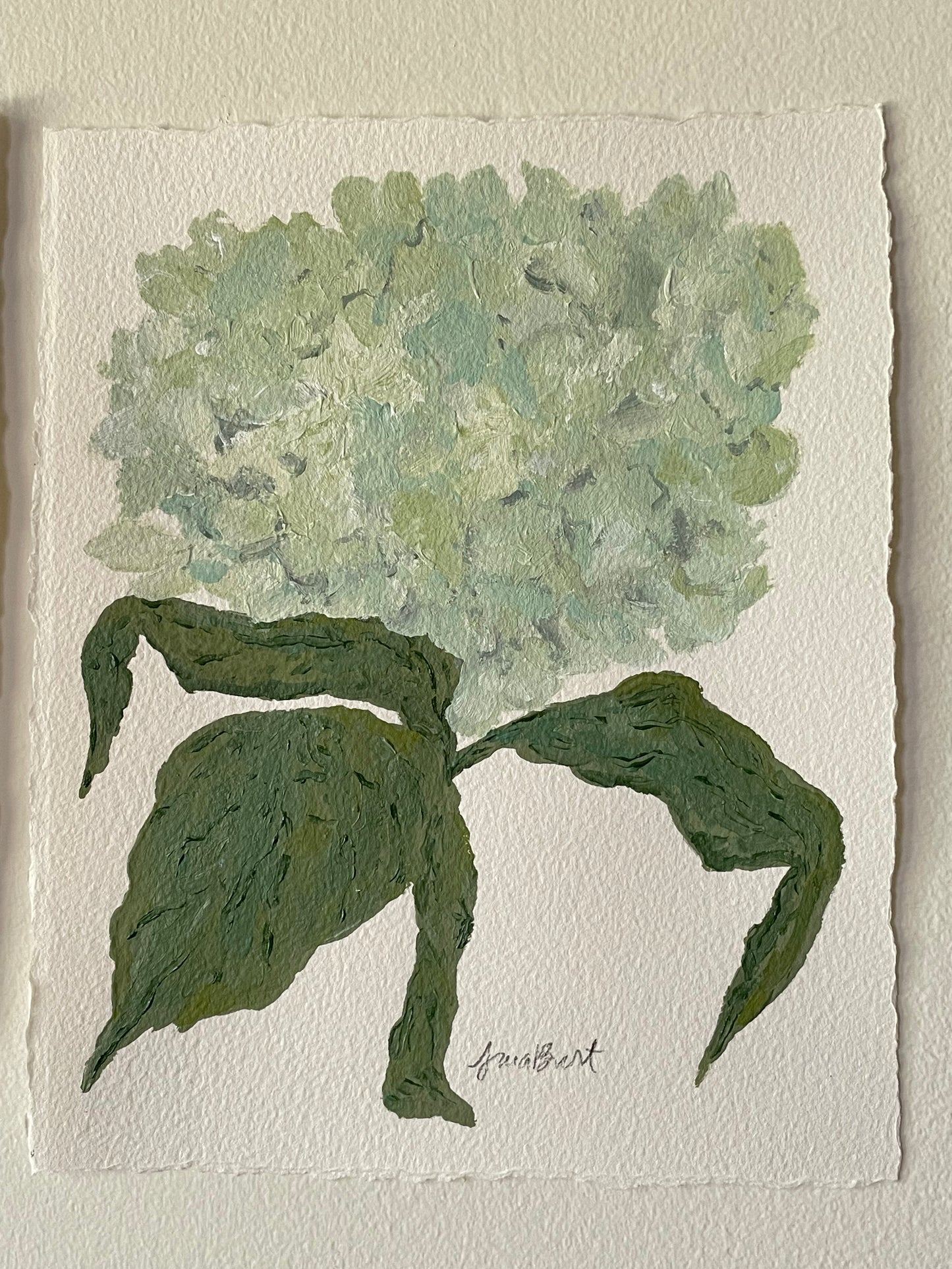 8x10 Soft Blue and Green Hydrangea on plain paper no. 2