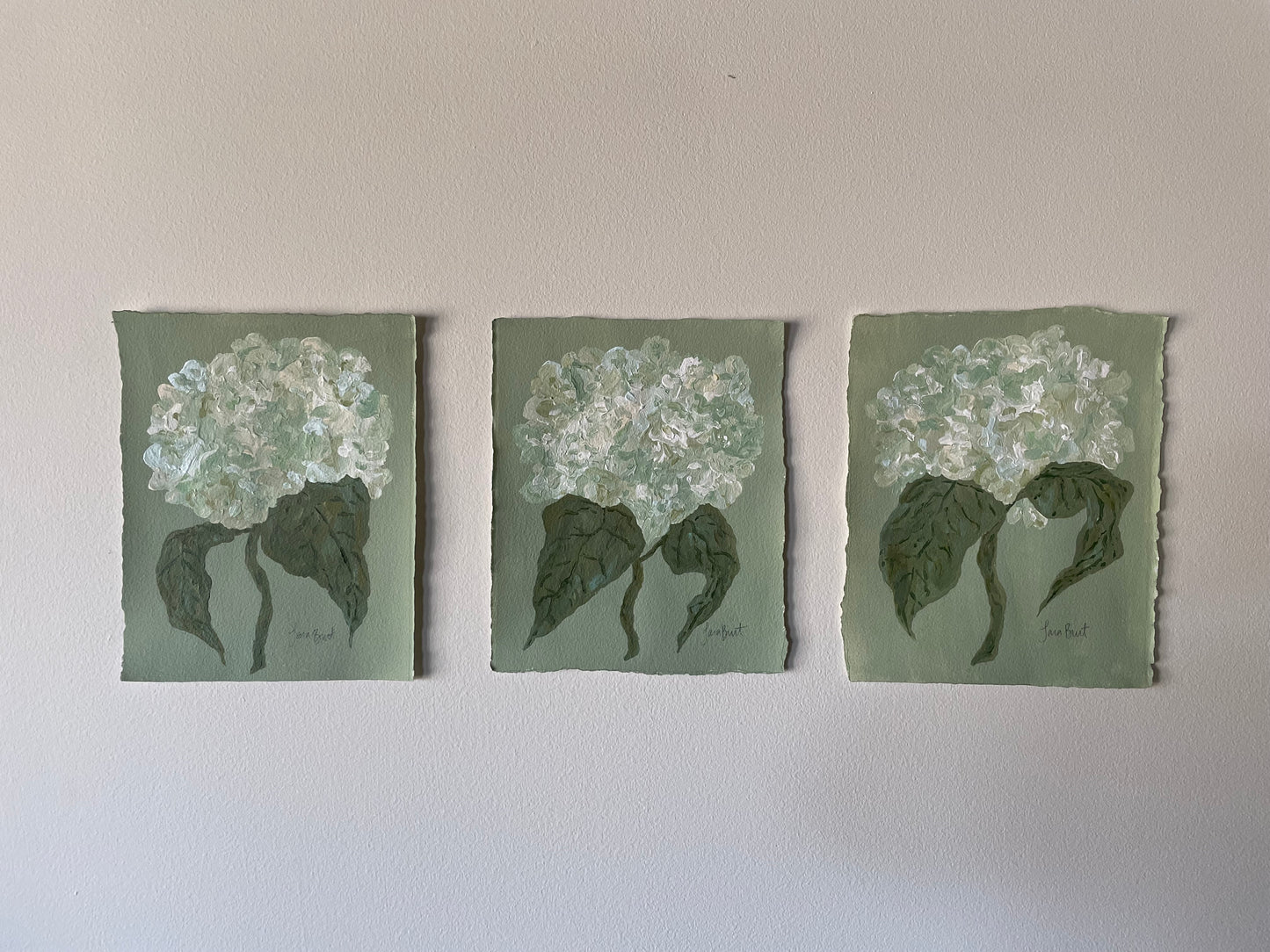 White Blue Green Hydrangea on Green no 1