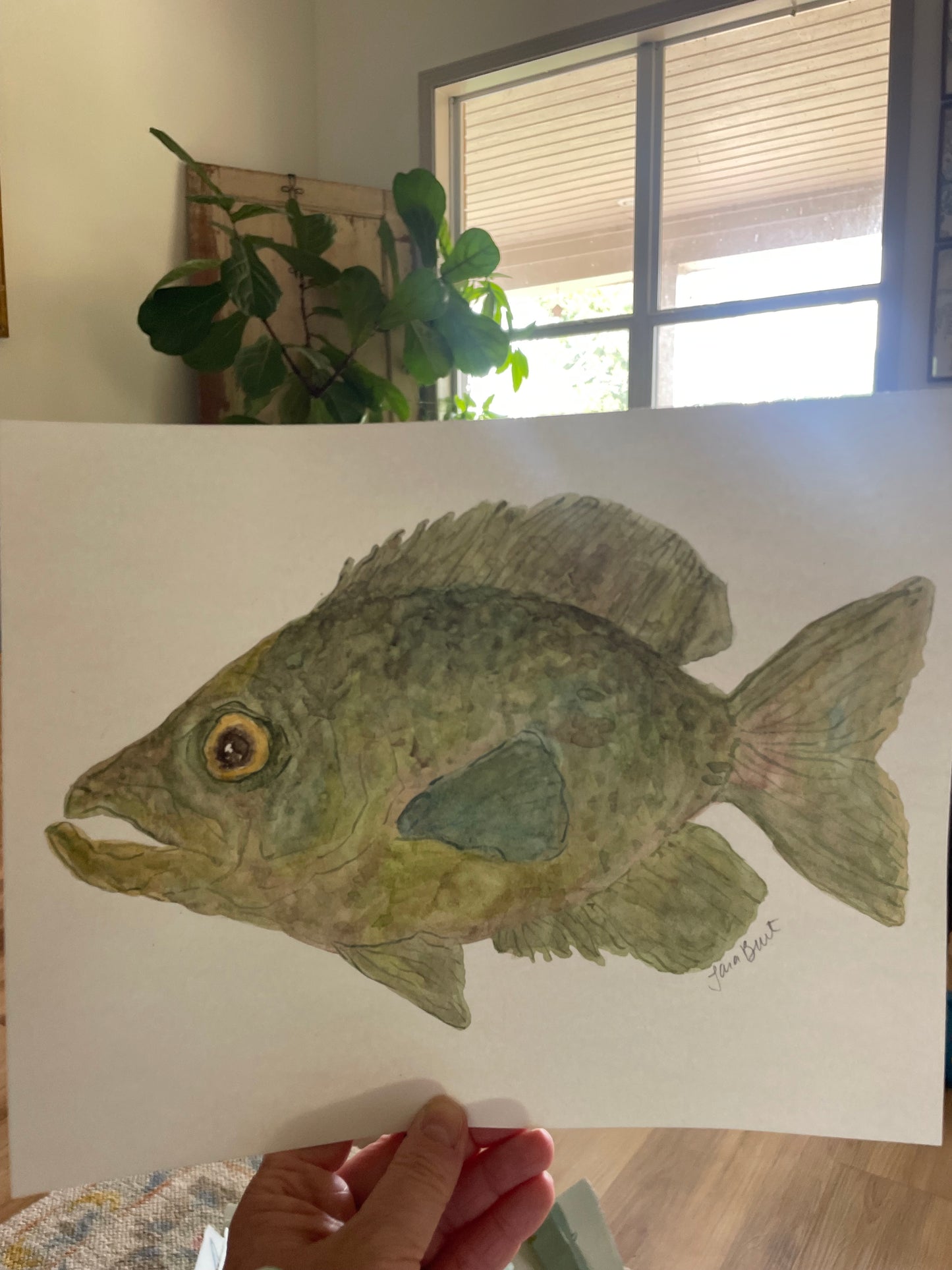 Crappie Fish watercolor