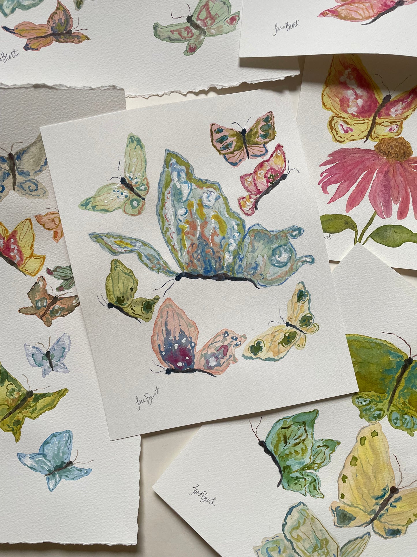 6 Little Loves Surrounding 1 Papillon