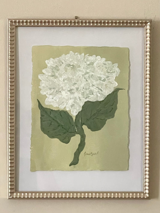 8x10 White Hydrangea on green paper no. 2