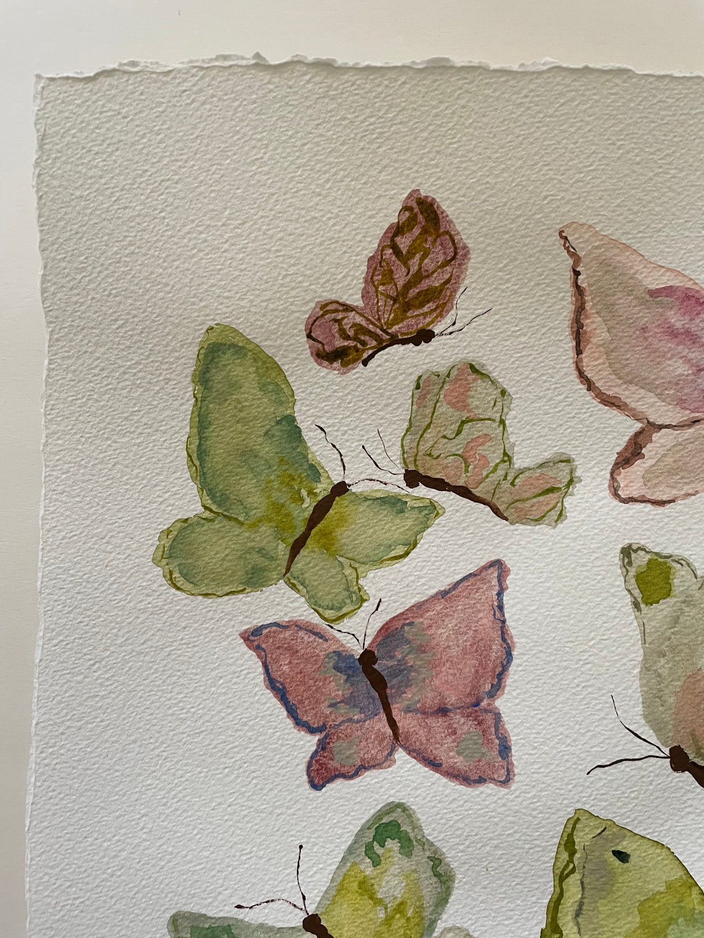 Soft Flutter no. 1
