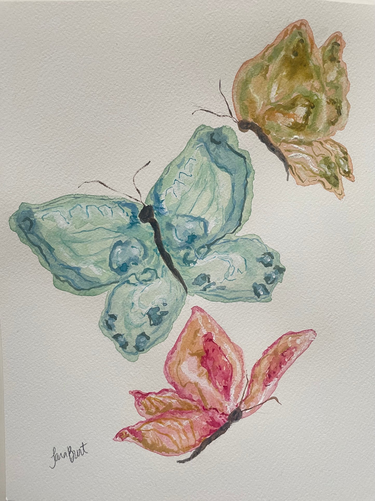 Trio of Papillon