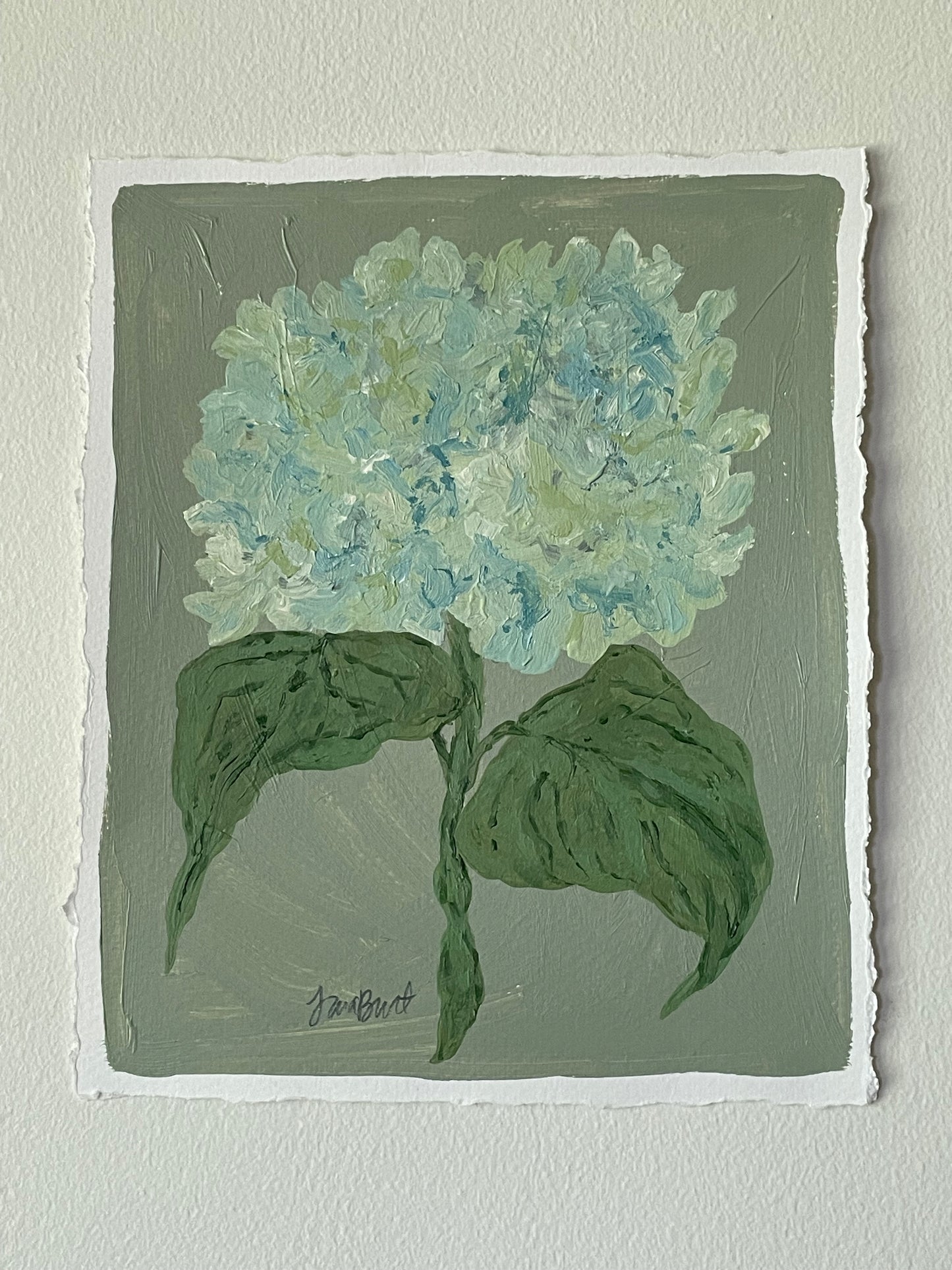 8x10 Green & Blue Hydrangea on Sage paper no. 4