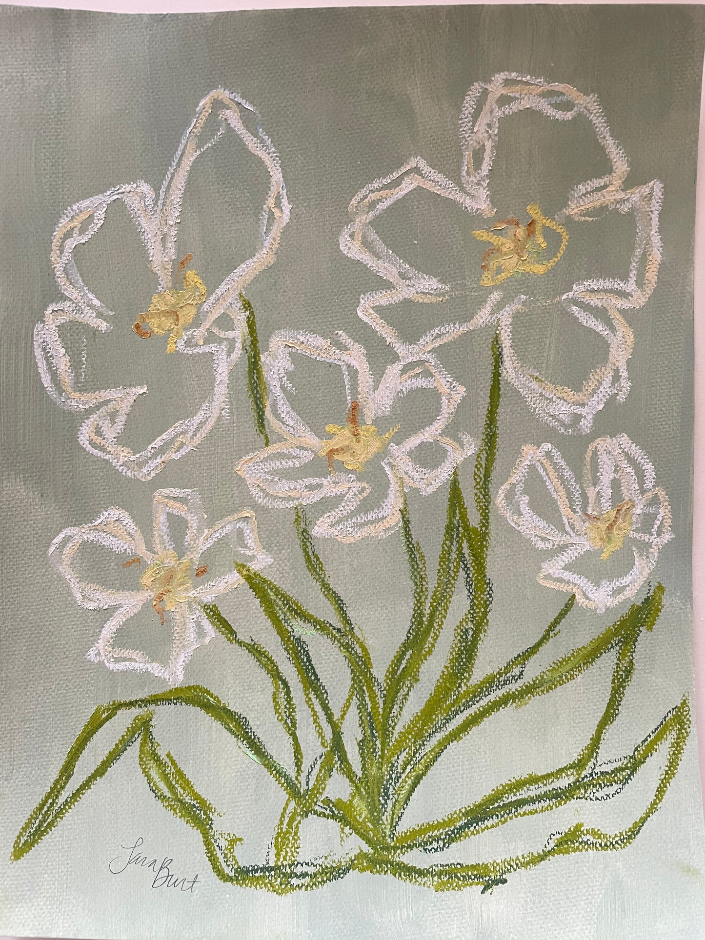 Blooming Softly no 2