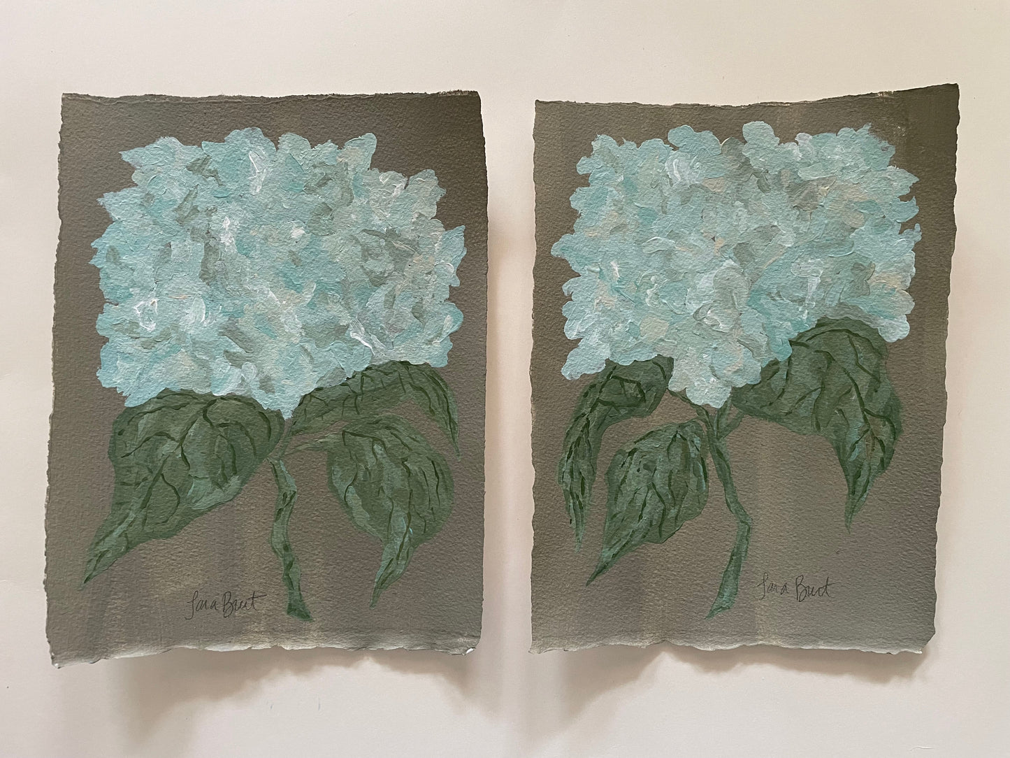 Antique Hydrangea on Earth Green no 2