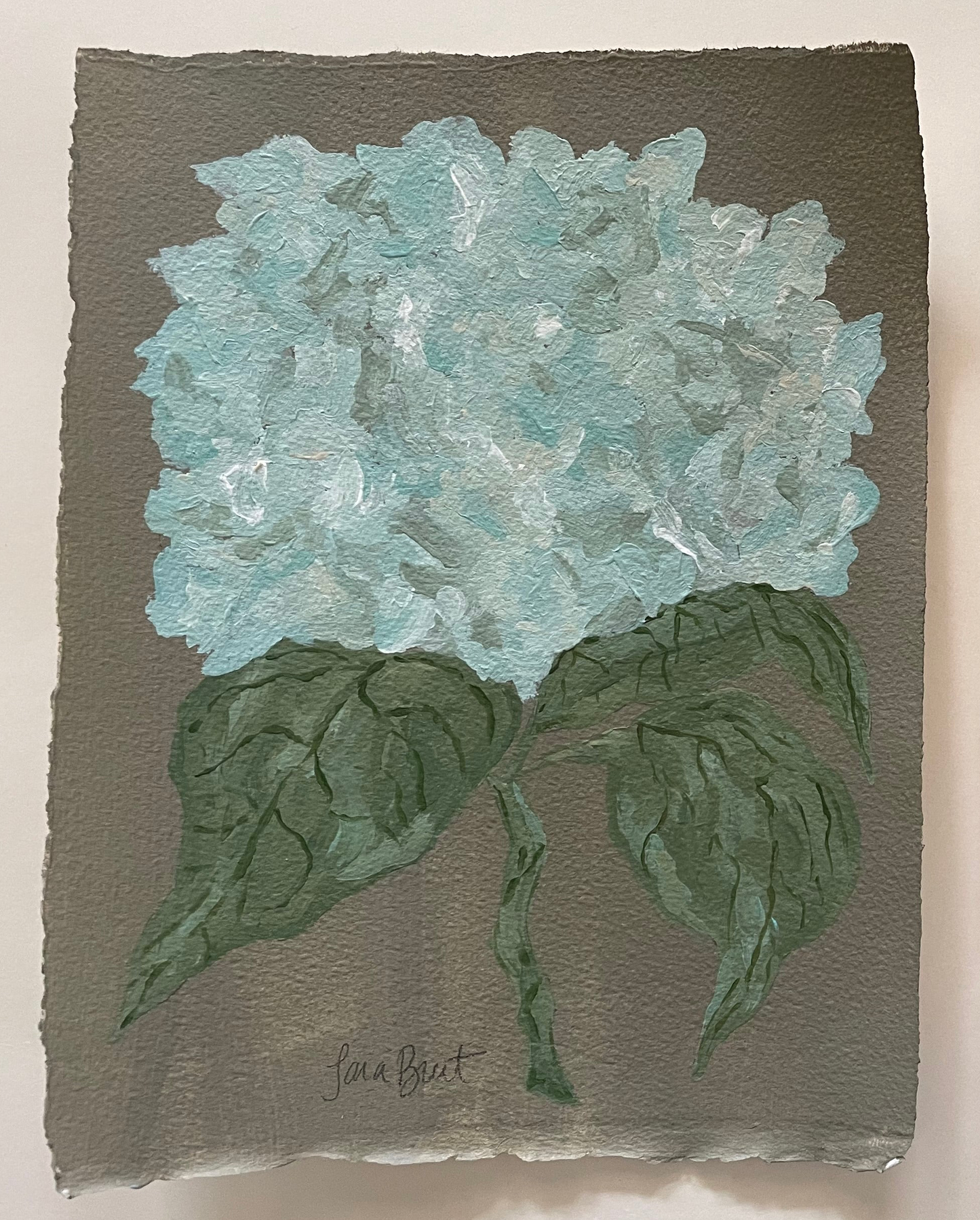 Antique Hydrangea on Earth Green no 1