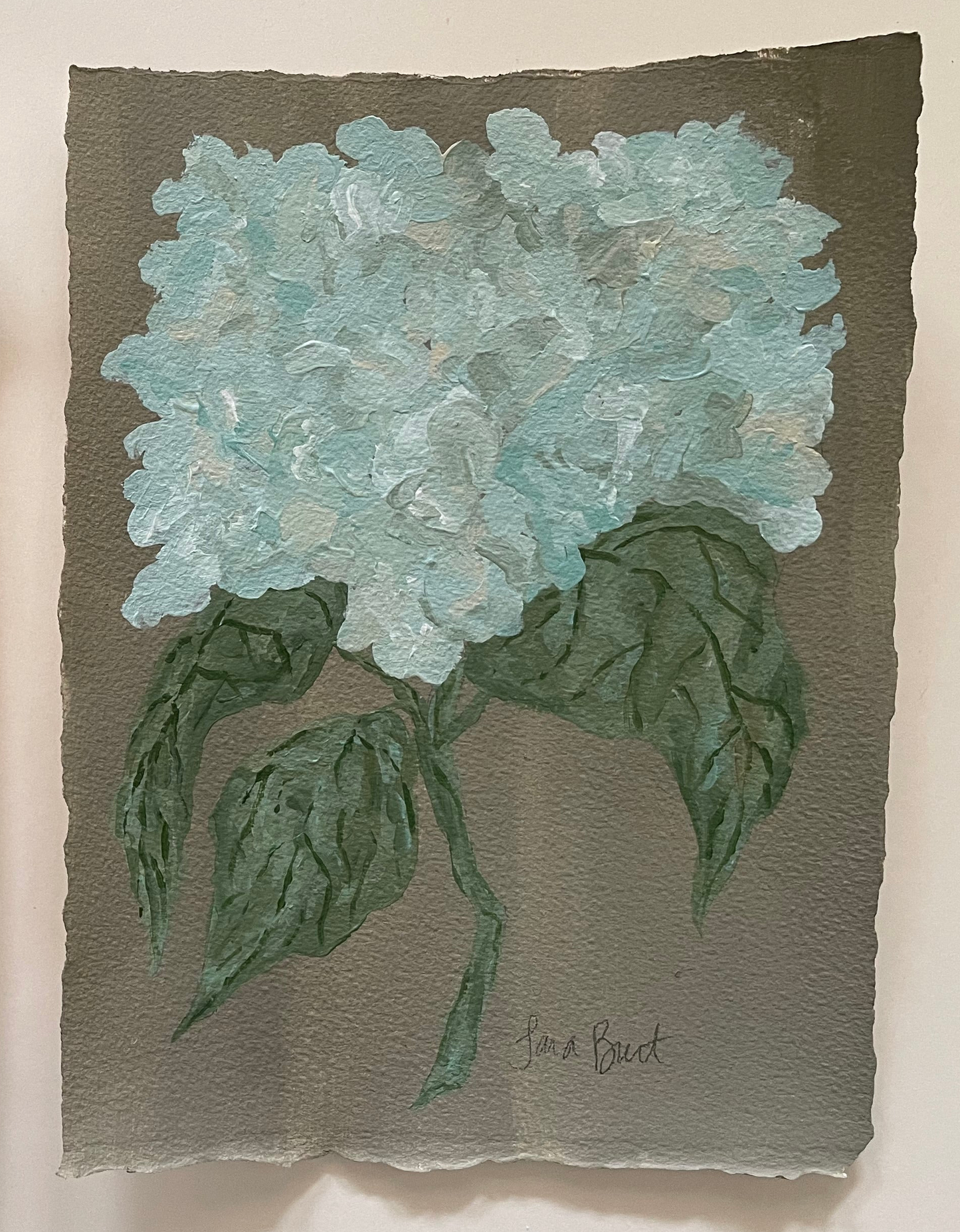 Antique Hydrangea on Earth Green no 2