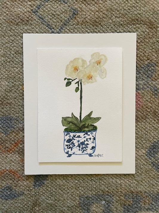 Orchid in Blue & White Planter