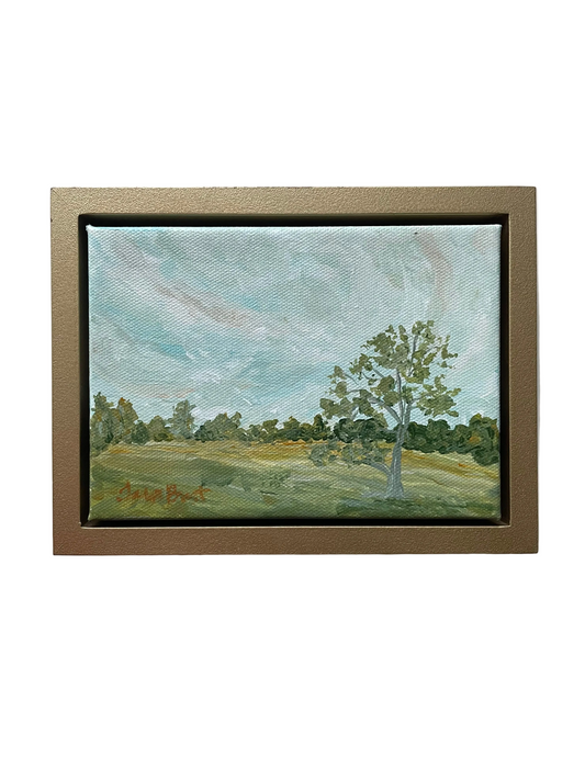 Notes From The Meadow