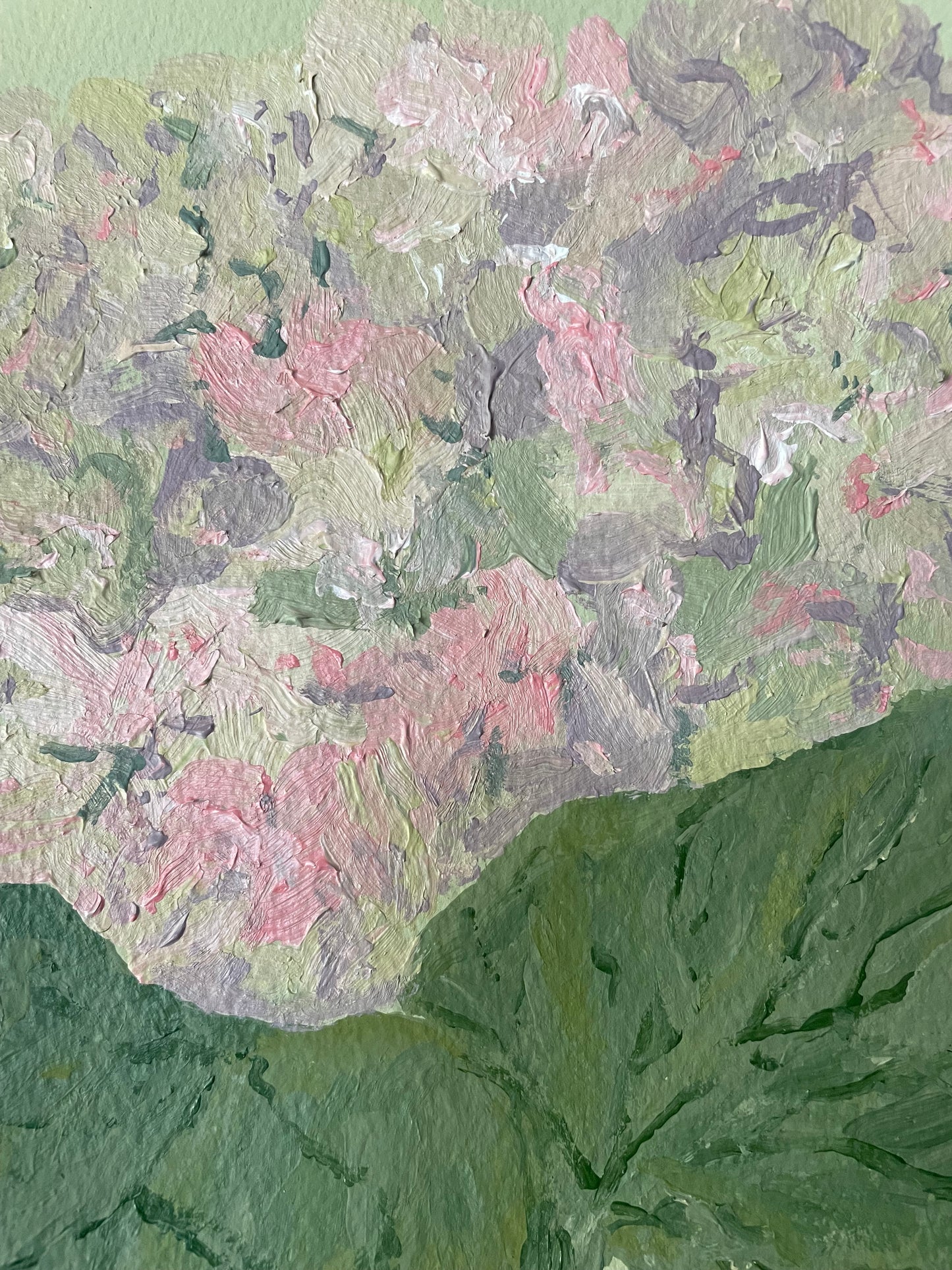8x10 Pink & Purple Hydrangea on Green paper no. 2