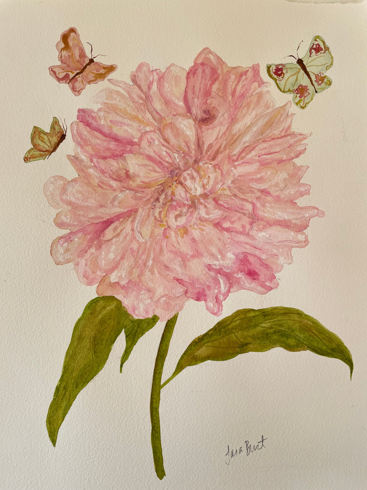 Soft Pink Peony Stem Botanical Watercolor Painting