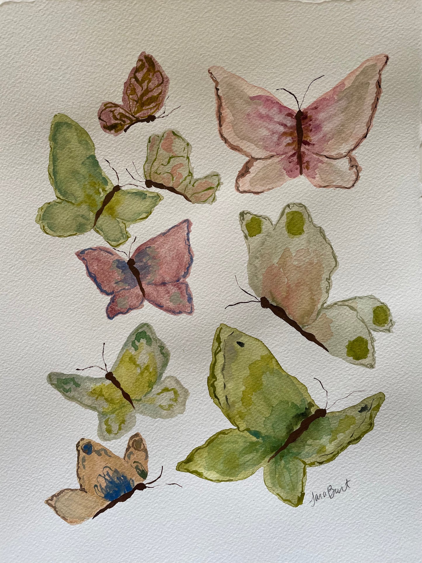 Soft Flutter no. 1