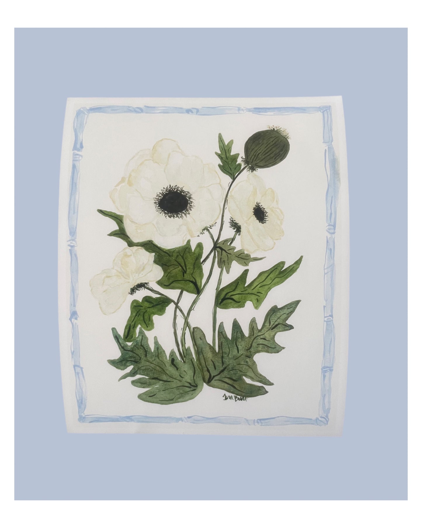 Anemone Botanical Print